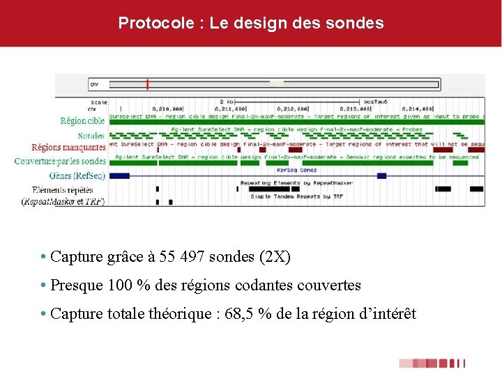 Protocole : Le design des sondes • Capture grâce à 55 497 sondes (2