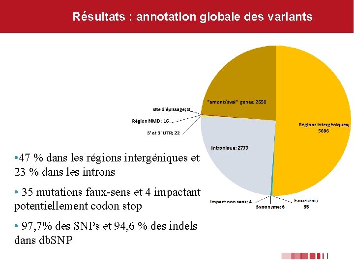 Résultats : annotation globale des variants • 47 % dans les régions intergéniques et