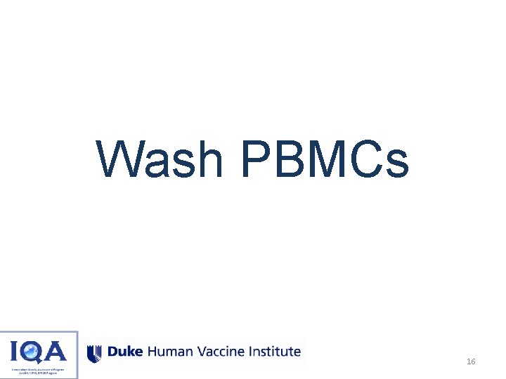 Wash PBMCs 16 