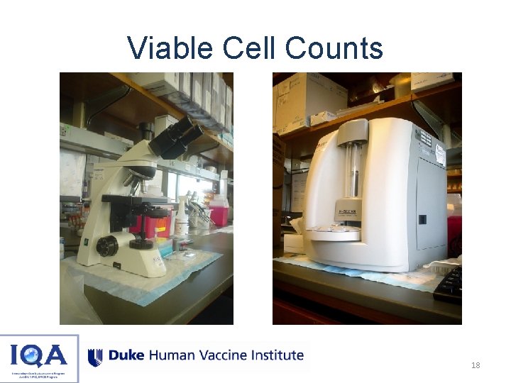 Viable Cell Counts 18 
