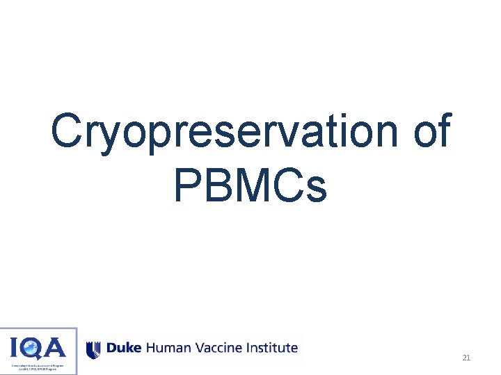 Cryopreservation of PBMCs 21 