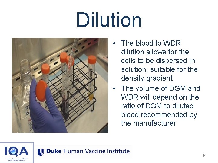 Dilution • The blood to WDR dilution allows for the cells to be dispersed