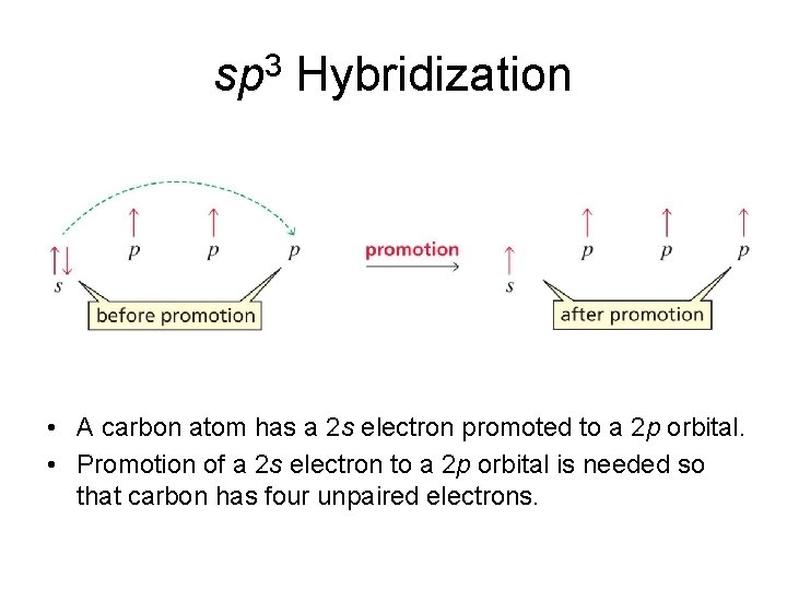 sp 3 Hybridization • A carbon atom has a 2 s electron promoted to
