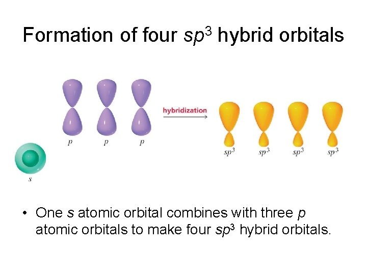 Formation of four sp 3 hybrid orbitals • One s atomic orbital combines with