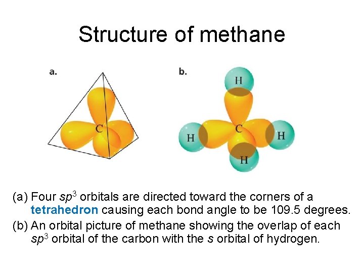 Structure of methane (a) Four sp 3 orbitals are directed toward the corners of