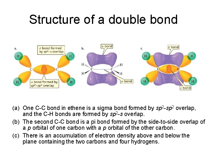 Structure of a double bond (a) One C-C bond in ethene is a sigma