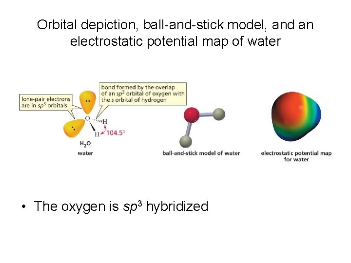 Orbital depiction, ball-and-stick model, and an electrostatic potential map of water • The oxygen