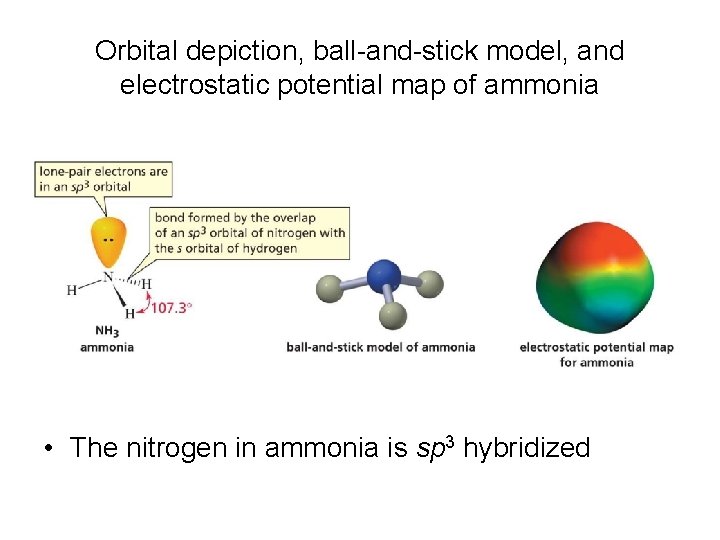 Orbital depiction, ball-and-stick model, and electrostatic potential map of ammonia • The nitrogen in