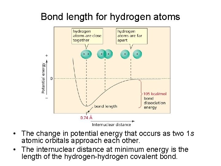 Bond length for hydrogen atoms • The change in potential energy that occurs as