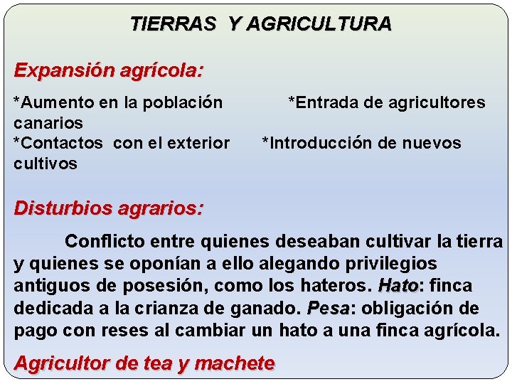 TIERRAS Y AGRICULTURA Expansión agrícola: *Aumento en la población canarios *Contactos con el exterior
