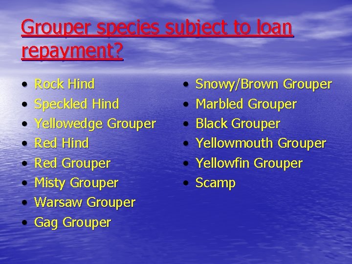 Grouper species subject to loan repayment? • • Rock Hind Speckled Hind Yellowedge Grouper