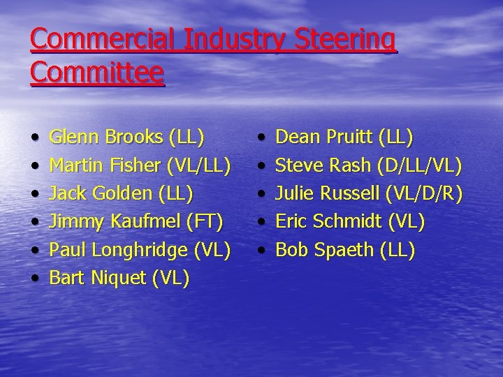 Commercial Industry Steering Committee • • • Glenn Brooks (LL) Martin Fisher (VL/LL) Jack