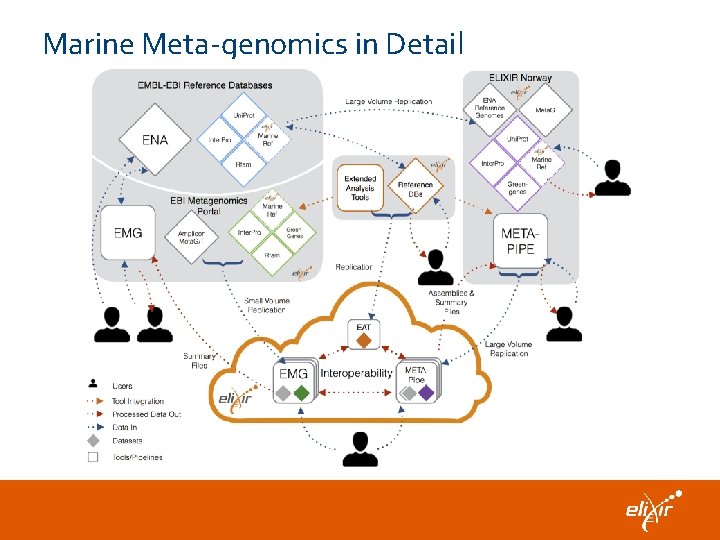 Marine Meta-genomics in Detail 