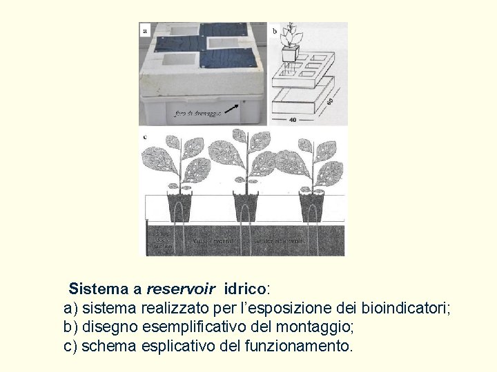 Sistema a reservoir idrico: a) sistema realizzato per l’esposizione dei bioindicatori; b) disegno esemplificativo