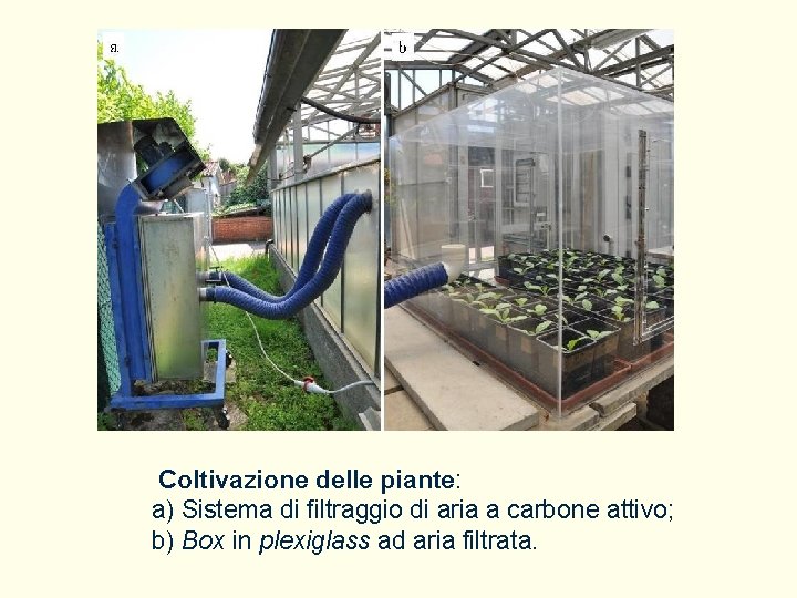 Coltivazione delle piante: a) Sistema di filtraggio di aria a carbone attivo; b) Box