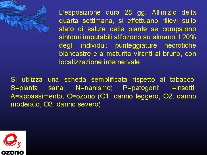 L’esposizione dura 28 gg. All’inizio della quarta settimana, si effettuano rilievi sullo stato di