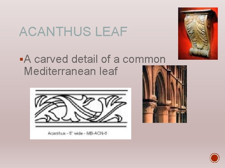 ACANTHUS LEAF §A carved detail of a common Mediterranean leaf 