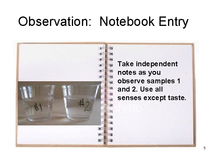 Observation: Notebook Entry Take independent notes as you observe samples 1 and 2. Use