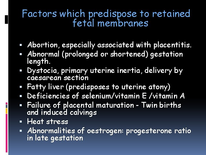 Factors which predispose to retained fetal membranes Abortion, especially associated with placentitis. Abnormal (prolonged