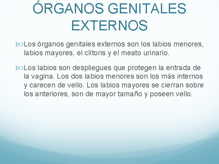 ÓRGANOS GENITALES EXTERNOS Los órganos genitales externos son los labios menores, labios mayores, el