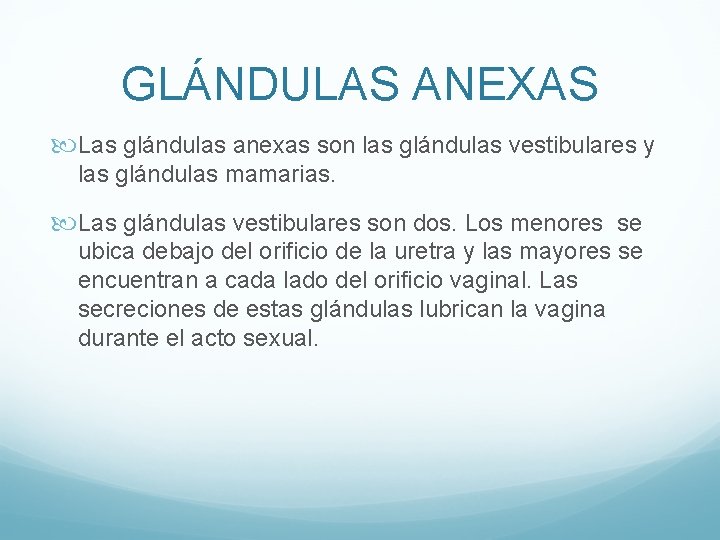 GLÁNDULAS ANEXAS Las glándulas anexas son las glándulas vestibulares y las glándulas mamarias. Las