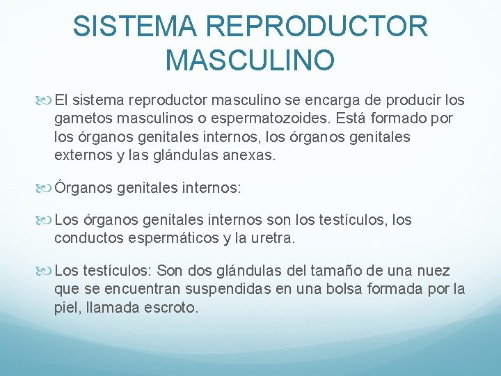 SISTEMA REPRODUCTOR MASCULINO El sistema reproductor masculino se encarga de producir los gametos masculinos