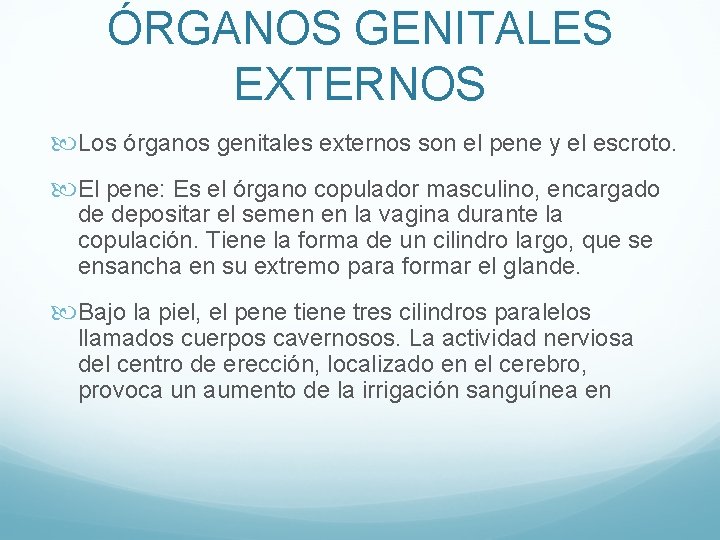 ÓRGANOS GENITALES EXTERNOS Los órganos genitales externos son el pene y el escroto. El