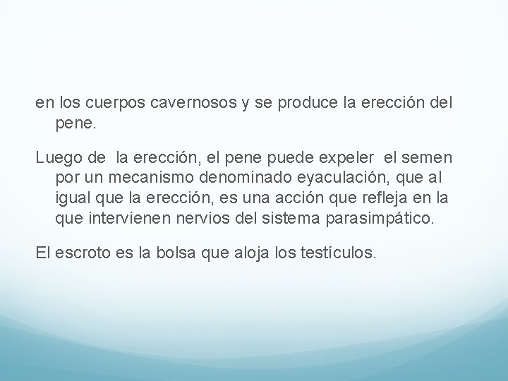 en los cuerpos cavernosos y se produce la erección del pene. Luego de la