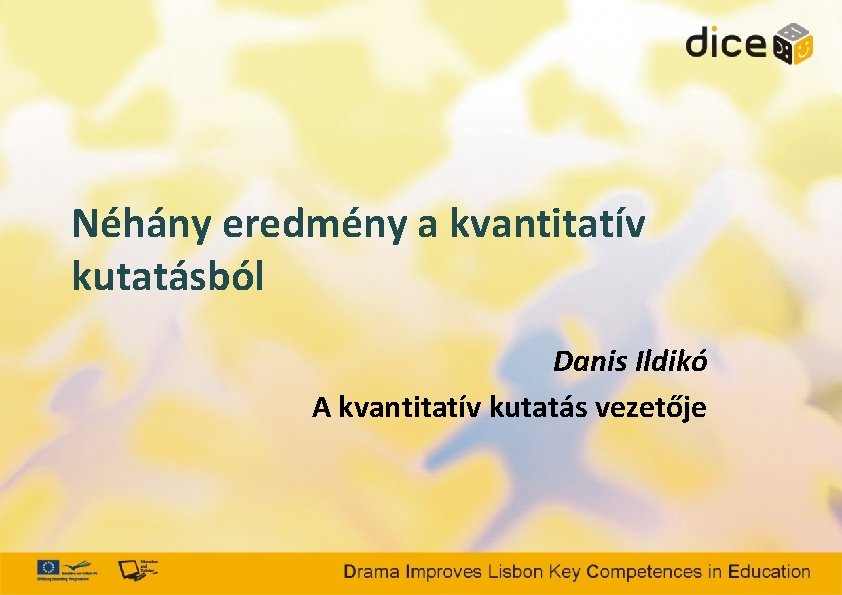 Néhány eredmény a kvantitatív kutatásból Danis Ildikó A kvantitatív kutatás vezetője 