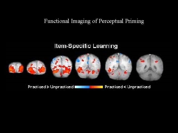 Functional Imaging of Perceptual Priming 