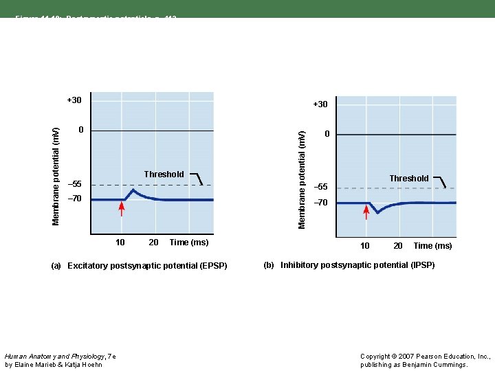 +30 0 0 Threshold – 55 – 70 10 20 Time (ms) (a) Excitatory
