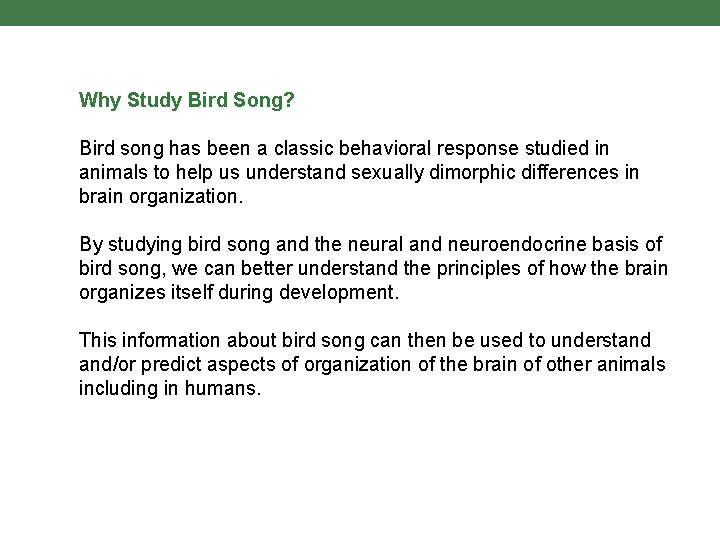 Why Study Bird Song? Bird song has been a classic behavioral response studied in
