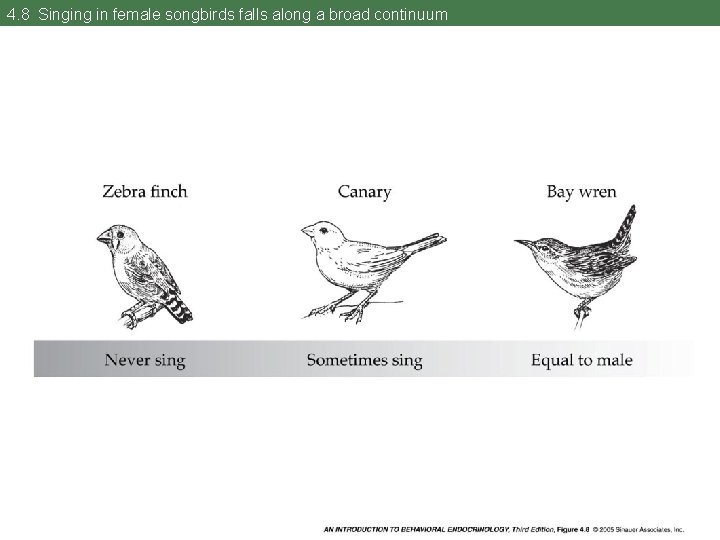 4. 8 Singing in female songbirds falls along a broad continuum 