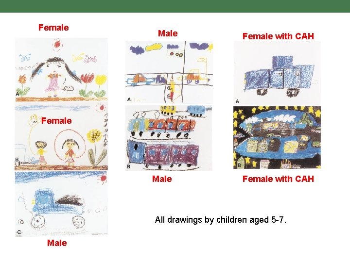 Female Male Female with CAH All drawings by children aged 5 -7. Male 
