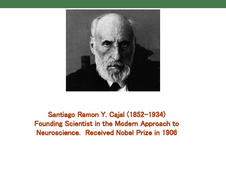 Santiago Ramon Y. Cajal (1852 -1934) Founding Scientist in the Modern Approach to Neuroscience.