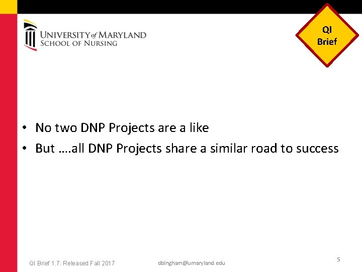 QI Brief • No two DNP Projects are a like • But …. all