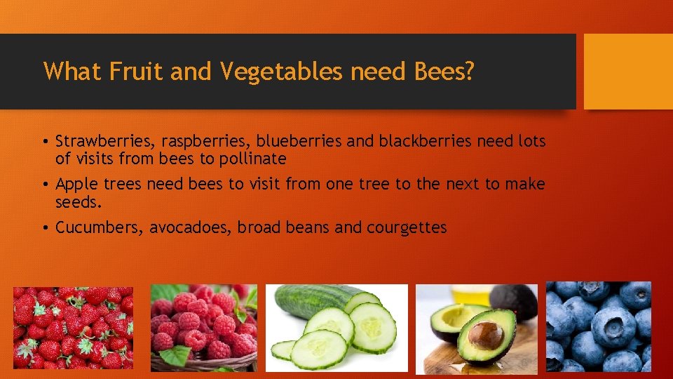 What Fruit and Vegetables need Bees? • Strawberries, raspberries, blueberries and blackberries need lots