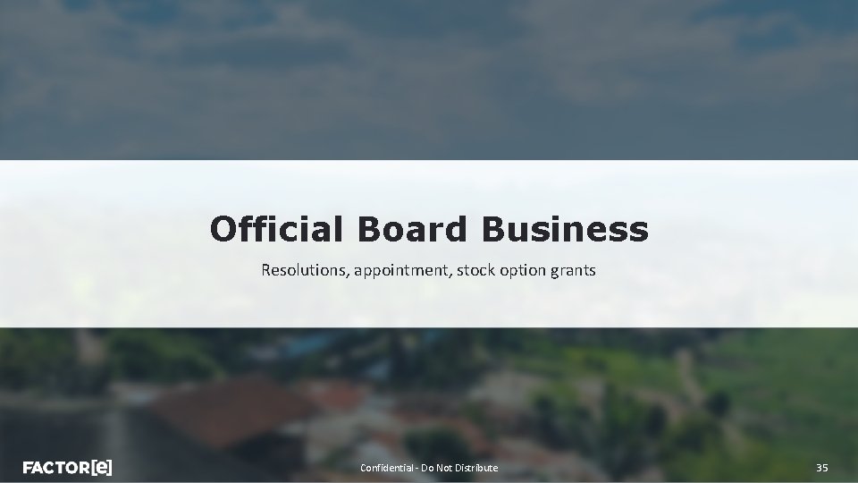 Official Board Business Resolutions, appointment, stock option grants Confidential - Do Not Distribute 35