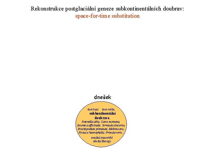 Rekonstrukce postglaciální geneze subkontinentálních doubrav: space-for-time substitution dnešek dost bazí dost světla subkontinentální doubrava