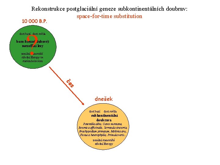 Rekonstrukce postglaciální geneze subkontinentálních doubrav: space-for-time substitution 10 000 B. P. ? dost bazí