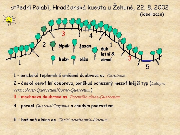 střední Polabí, Hradčanská kuesta u Žehuně, 22. 8. 2002 (idealizace) 3 2 1 4