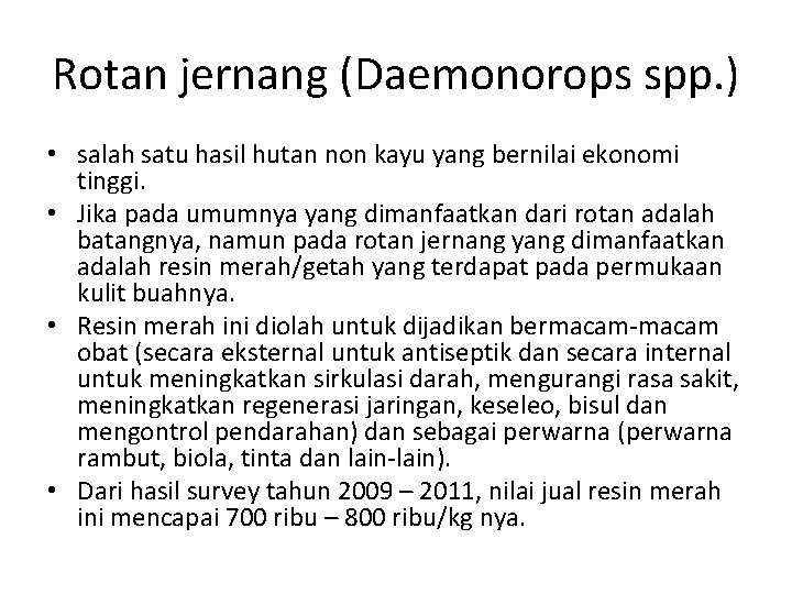 Rotan jernang (Daemonorops spp. ) • salah satu hasil hutan non kayu yang bernilai