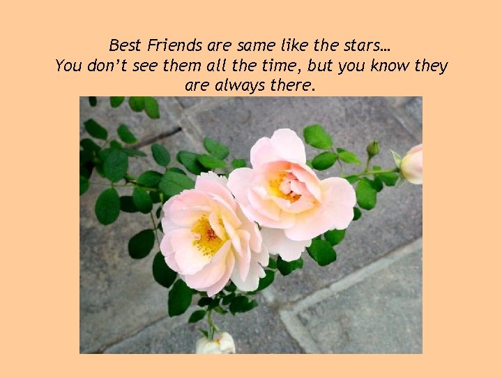 Best Friends are same like the stars… You don’t see them all the time,