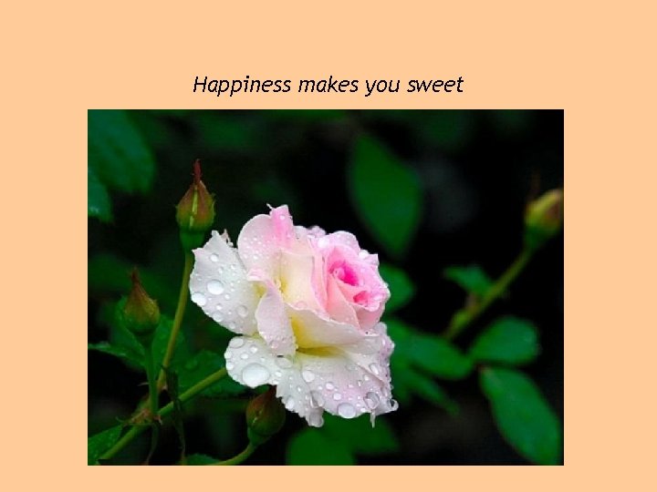 Happiness makes you sweet 