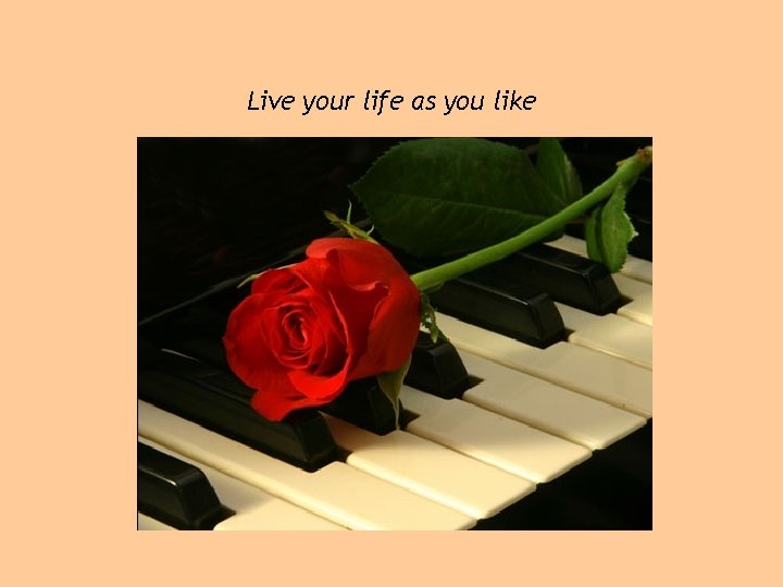 Live your life as you like 