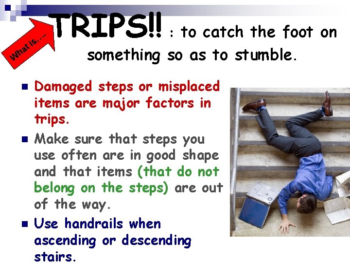 i t a h W n n n s… . TRIPS!! : to catch