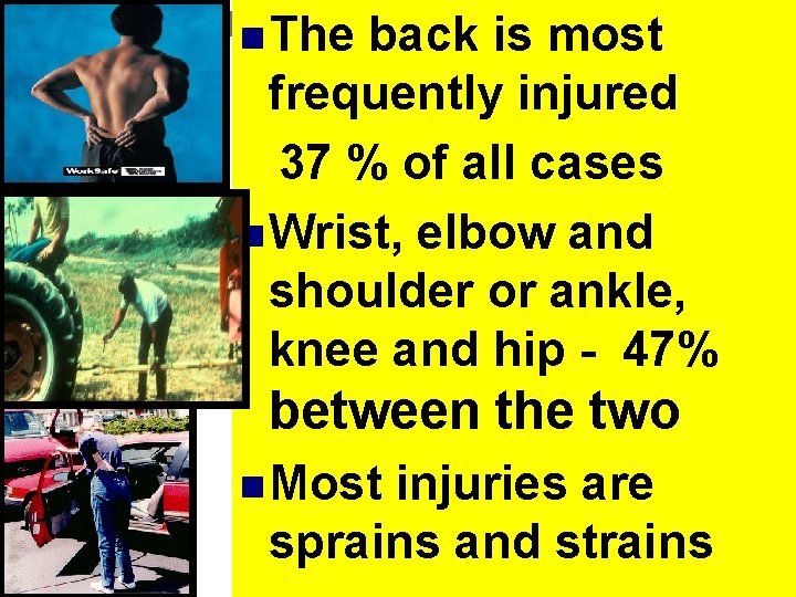 n The back is most frequently injured 37 % of all cases n Wrist,