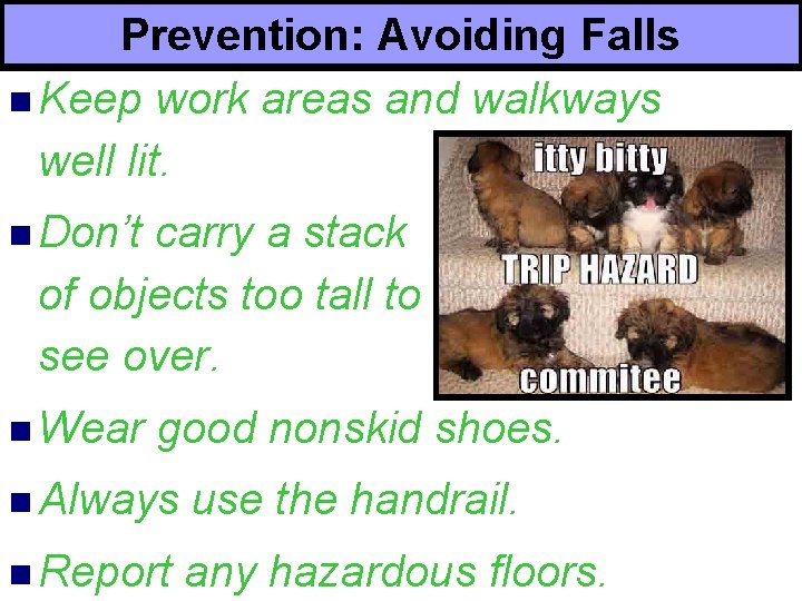 Prevention: Avoiding Falls n Keep work areas and walkways well lit. n Don’t carry