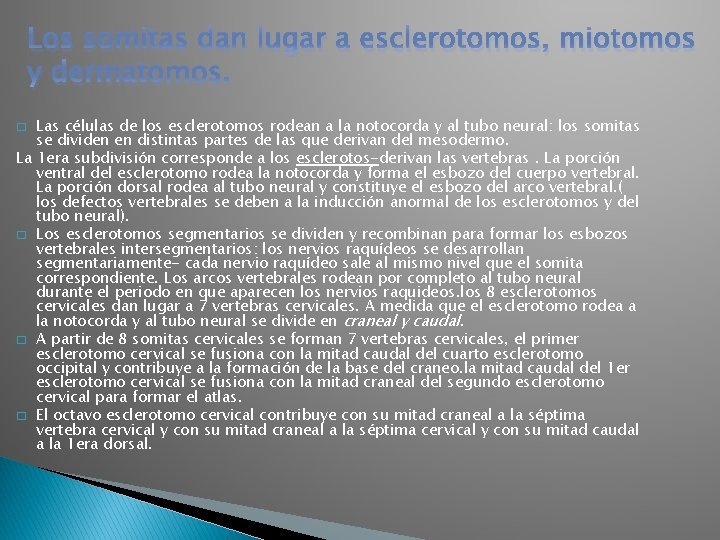 Los somitas dan lugar a esclerotomos, miotomos y dermatomos. Las células de los esclerotomos