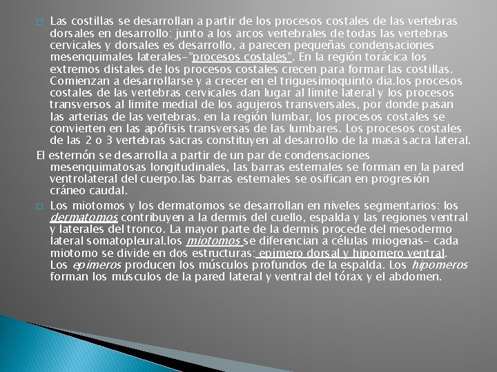 Las costillas se desarrollan a partir de los procesos costales de las vertebras dorsales